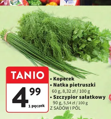 Szczypior sałatkowy Z Sadów I Pól promocja w Intermarche