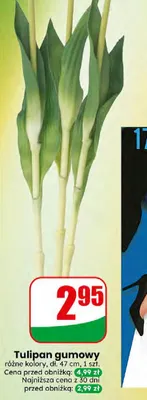 Tulipan gumowy promocja w Dino