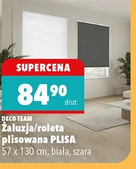 Żaluzje/roleta plisowana Plisa 57x130cm, biała, szara promocja w Biedronka
