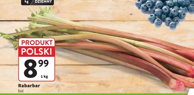 Rabarbar polski luz promocja w Intermarche