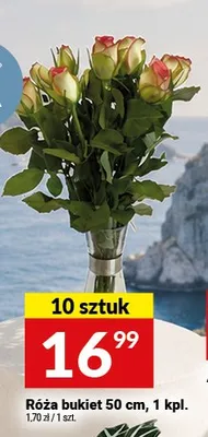 Róża bukiet promocja w Twój Market