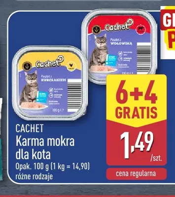 Karma mokra dla kota Cachet promocja w Aldi