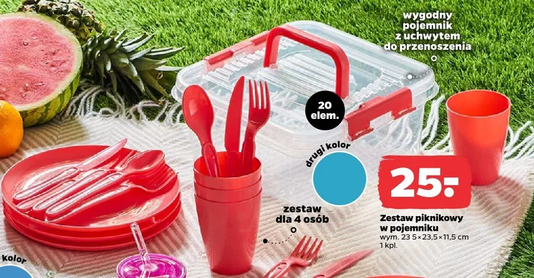 Zestaw piknikowy w pojemniku wym. 23,5x23,5x11,5cm promocja w Netto