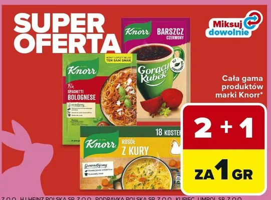 Cała gama produktów marki Knorr promocja w Carrefour