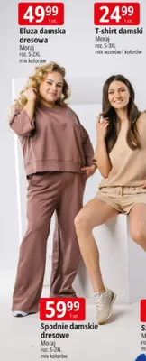 Bluza damska dresowa Moraj roz. S-2XL mix kolorów promocja w Leclerc