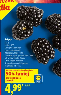 Jeżyny promocja w Lidl