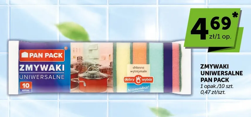 Zmywaki uniwersalne Pan Pack promocja w Euro Sklep