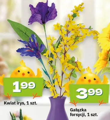 Kwiat irys promocja w Twój Market