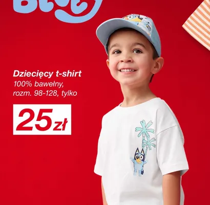 Dziecięcy t-shirt Bluey 100% bawełny rozm. 98-128 promocja w KiK