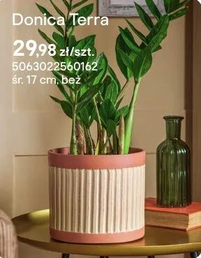 Doniczka Terra beż promocja w Castorama