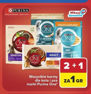 Karma dla kota i psa Purina One promocja w Carrefour