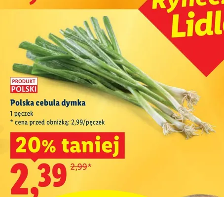 Cebula dymka promocja w Lidl