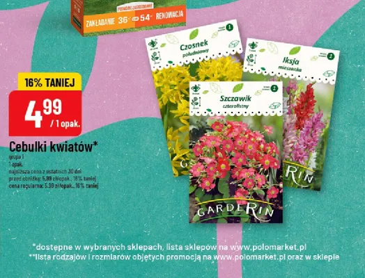 Cebulki kwiatów czosnek, ikeja, szczawik promocja w POLOmarket