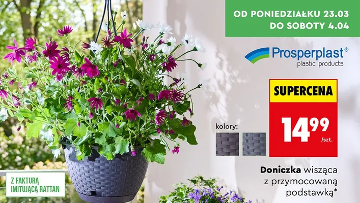 Doniczka wisząca z przymocowaną podstawką promocja w Biedronka