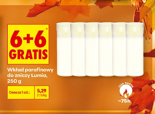 Wkład parafinowy do zniczy Lumia promocja w Biedronka