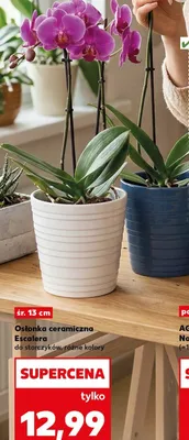 Osłonka ceramiczna Escalera promocja w Kaufland