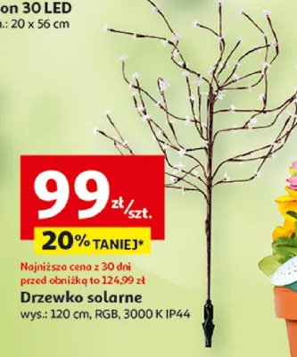 Drzewko solarne 30 LED RGB 3000K IP44 120cm promocja w Auchan