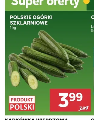 Ogórki szklarniowe polskie promocja w Stokrotka