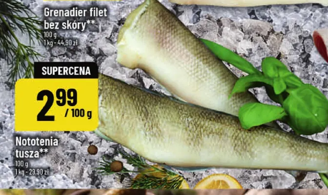 Nototenia tusza promocja w POLOmarket