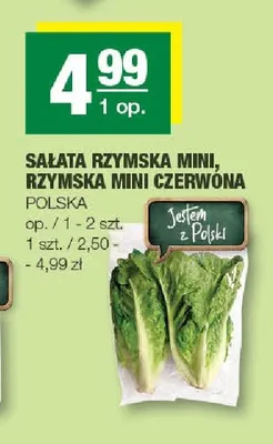 Sałata rzymska mini czerwona promocja w SPAR