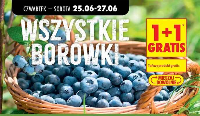 Borówki promocja w Biedronka