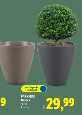 Donica promocja w Lidl