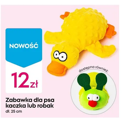Zabawka dla psa kaczka lub robak promocja w Pepco