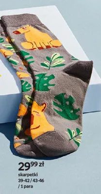 Skarpetki kapibara promocja w Empik