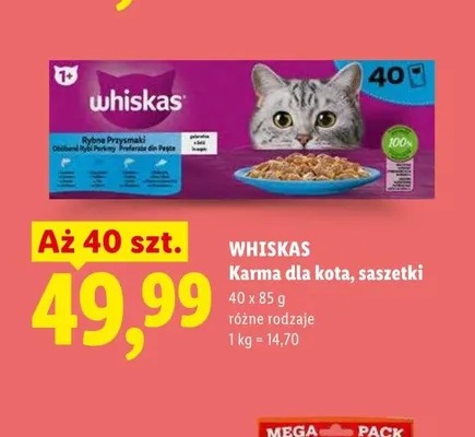 Karma dla kota w saszetkach Whiskas 40-pak promocja w Lidl
