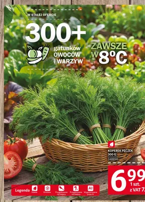 Koperek pęczek promocja w Selgros