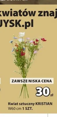Kwiat sztuczny KRISTIAN promocja w Jysk