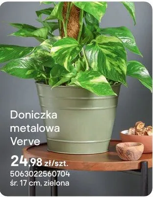 Doniczka metalowa Verve zielona promocja w Castorama