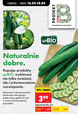 Ogórek promocja w Biedronka