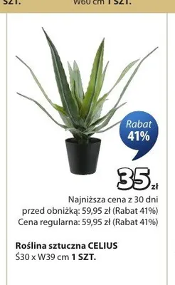 Roślina sztuczna CELIUS promocja w Jysk