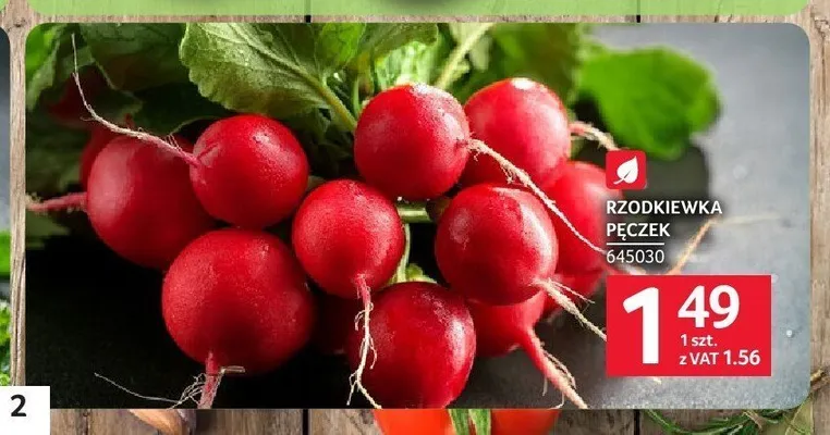 Rzodkiewka pęczek promocja w Selgros