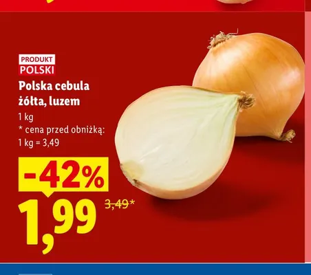 Cebula żółta polska luzem Ryneczek Lidla promocja w Lidl
