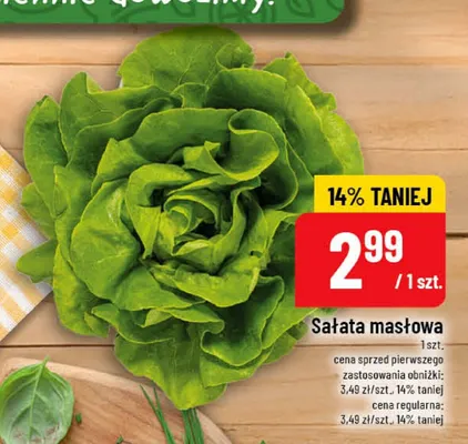Sałata masłowa promocja w POLOmarket