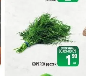 Koperek promocja w Tomi Markt