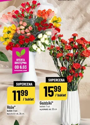 Goździki bukiet 7 szt. promocja w POLOmarket