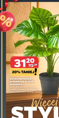 Sztuczna roślina w doniczce w stylu monstery promocja w Netto