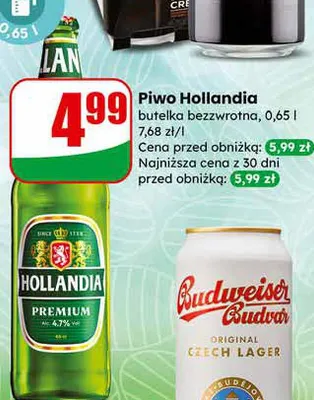 Piwo Budweiser Budvar puszka promocja w Dino