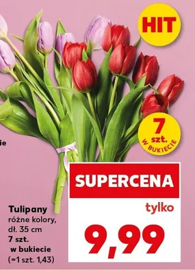 Tulipany dł. 35cm 7szt. w bukiecie promocja w Kaufland