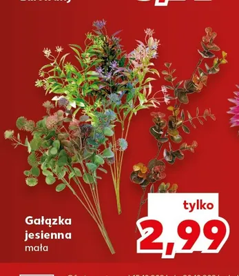 Gałązka jesienna mała promocja w Kaufland
