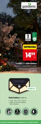Doświetlacz solarny z czujnikiem ruchu promocja w Biedronka