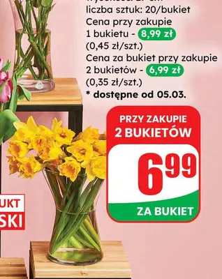 Bukiet żonkili promocja w Dino