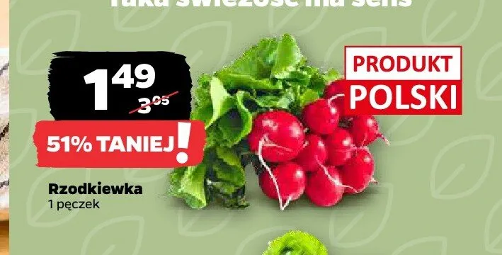 Rzodkiewka polska promocja w Netto