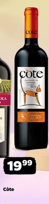Wino czerwone półwytrawne Côte bułgarskie promocja w Netto
