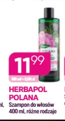 Szampon do włosów Herbapol Polana promocja w Drogerie Koliber