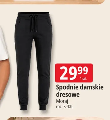 Spodnie damskie dresowe Moraj roz. S-3XL promocja w Leclerc