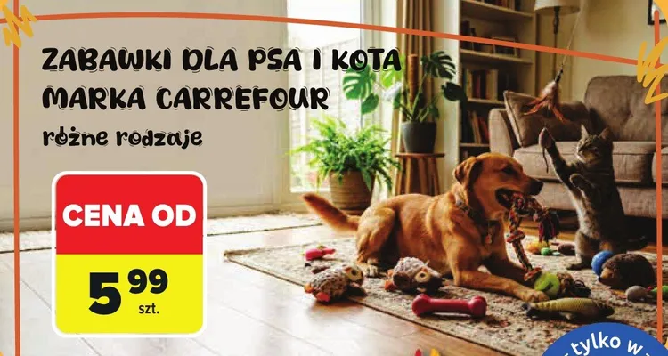 Zabawki dla psa i kota Carrefour promocja w Carrefour Market
